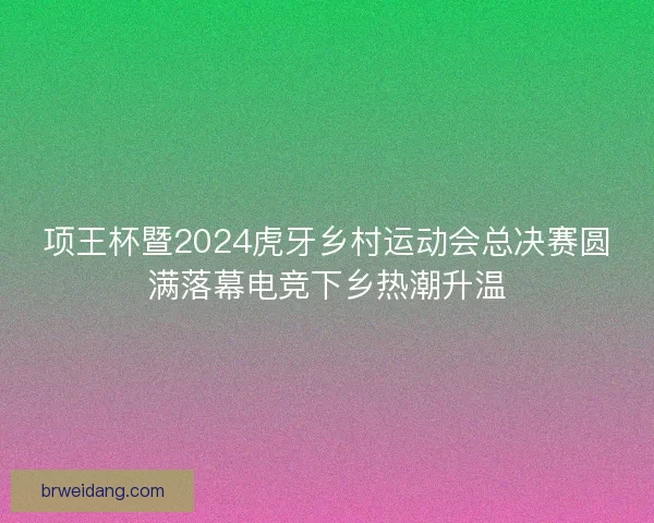 项王杯暨2024虎牙乡村运动会总决赛圆满落幕电竞下乡热潮升温
